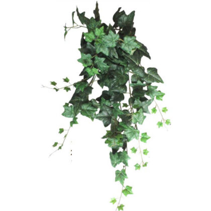 Ρίζα Κρεμαστή Κισσός Πράσινος 90εκ|138 Φύλλα